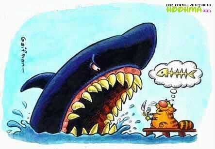 Прикольные истории