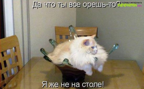Немного котомиксов