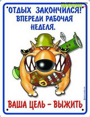 Шуточный рекорды России