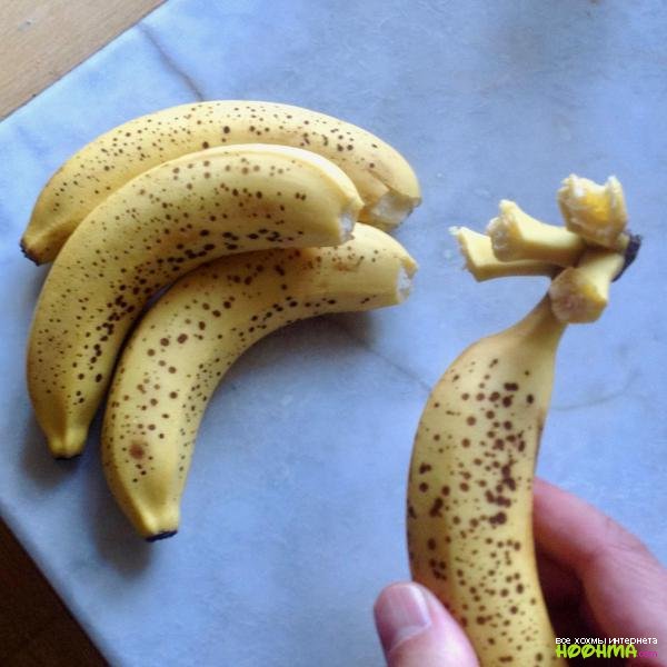 Неудачные дни бывают у каждого