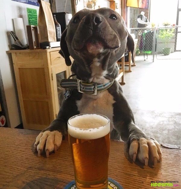 В предвкушении выходных