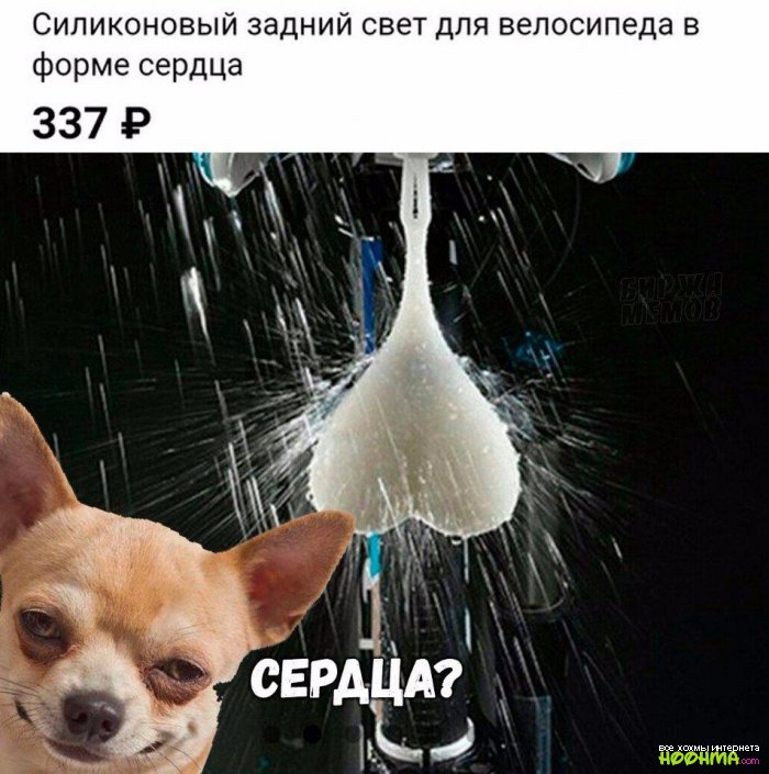 Юморные картинки