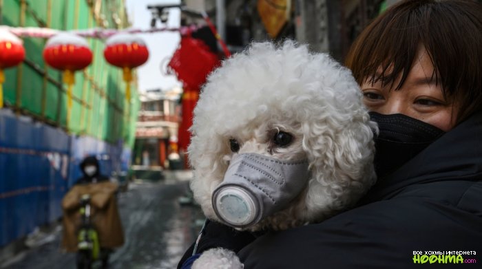 Красивые и модные маски на лицо